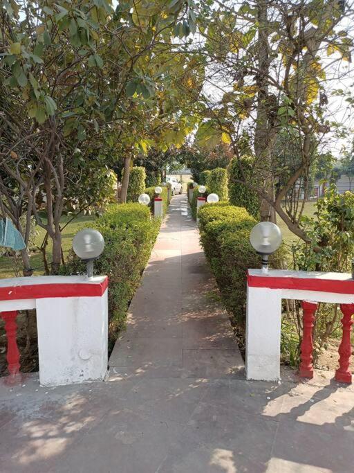 Achal Farm जंगल में मंगल Villa Gurgaon Exteriör bild